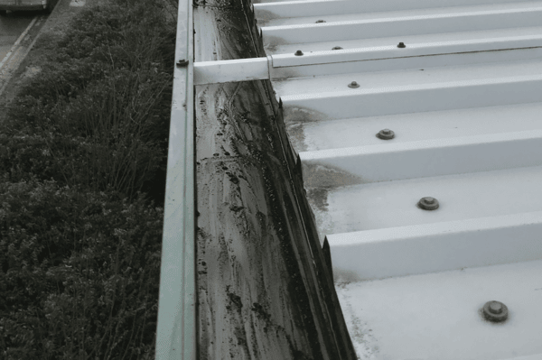Commercial gutter cleaning specialists in Bishops Stortford